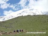 Mount Ararat Trek